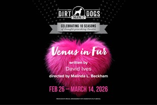 Artwork (a hot-pink feather boa) for the DDTCo. production of Airline Highway, written by Lisa D-Amour and directed by Malinda L. Beckham and Curtis Barber.