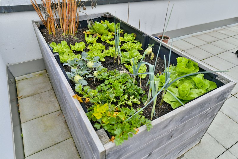 Association Pilatusblick – Living with Dementia - raised garden bed on the terrace