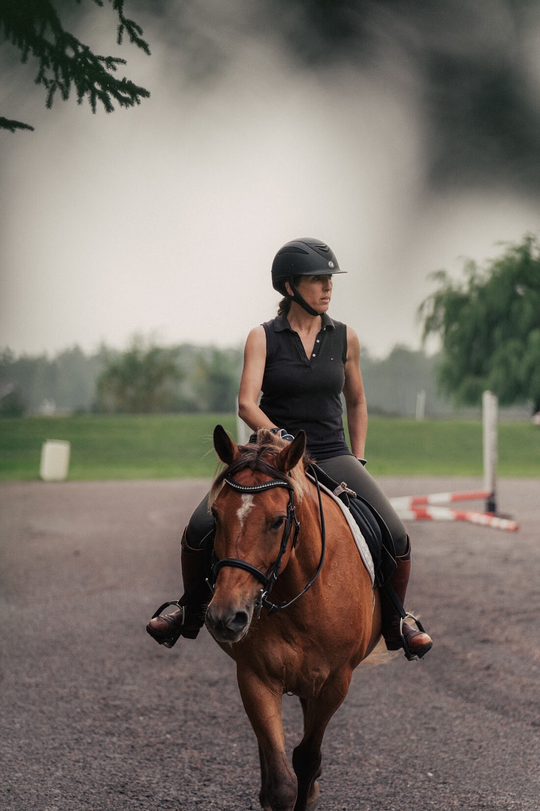Horse Boarding and Training