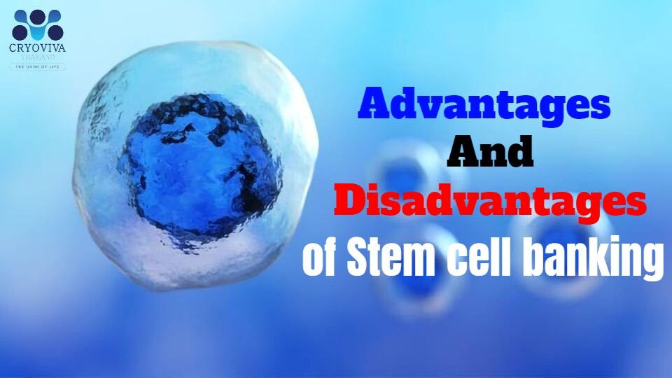 Advantages And Disadvantages of Stem Cell Banking Stem cells have