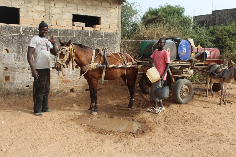 senegalhilfe.ch - Senegal - local transport
