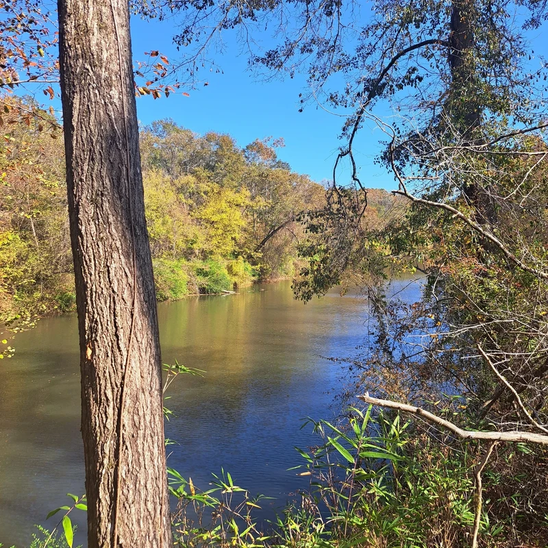 Stunning autumn view of the Pacolet River through mature trees, highlighting the natural serenity and beauty of the historic riverfront location