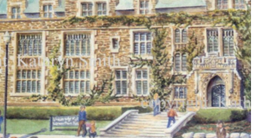 image ID ce588a0e e9ec 428e a998 97bad7576eca