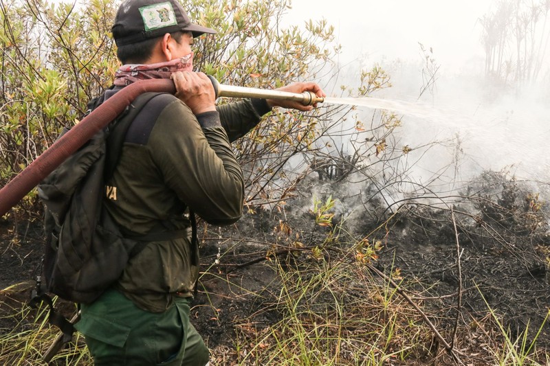 Green Boots Borneo - Waldbrand Bekämpfung