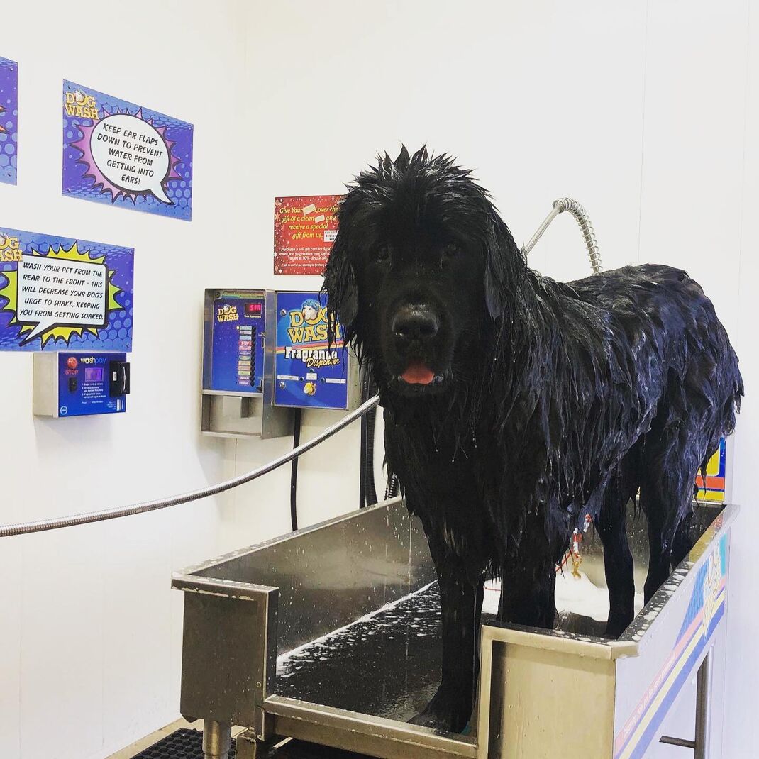 Mission Super Wash Best Touchless Car Wash in Kelowna