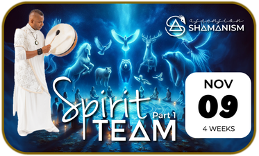 Spirit Teams Pt 1 advert badge