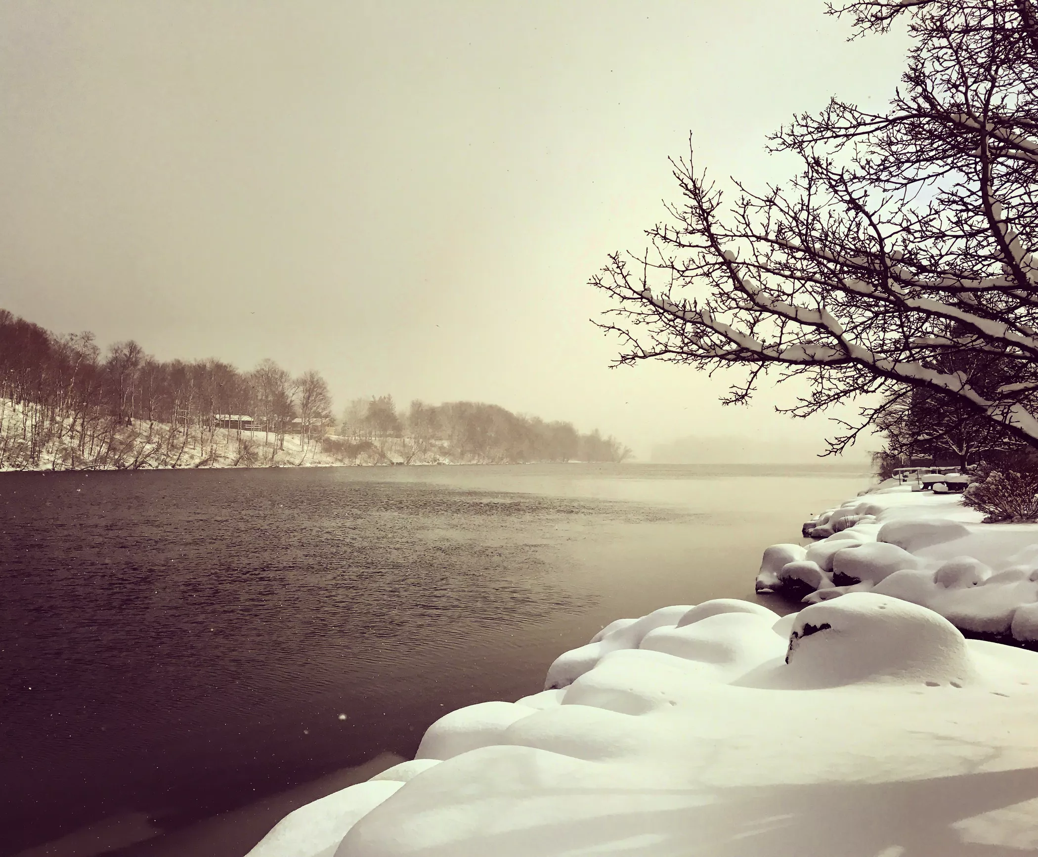 to the Town of New York