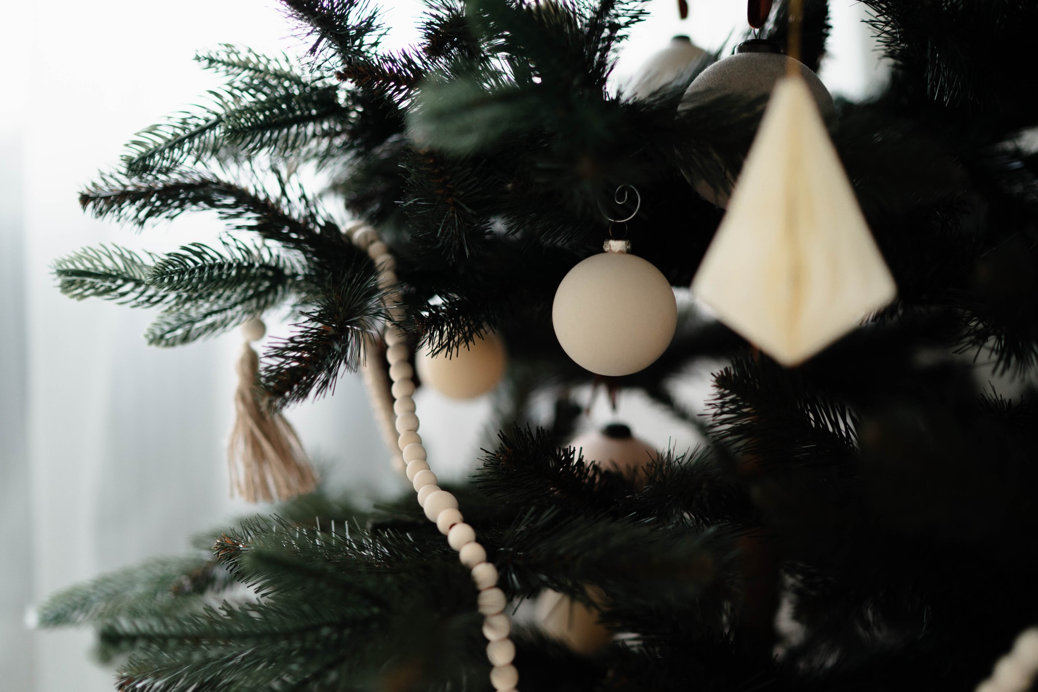 image ID 9826a7b6 c771 4156 fad6 ba52ae058625 (1)