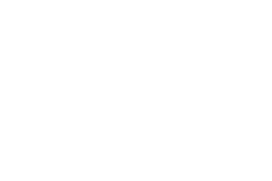 White Spirit Teams Pt 2 Logo
