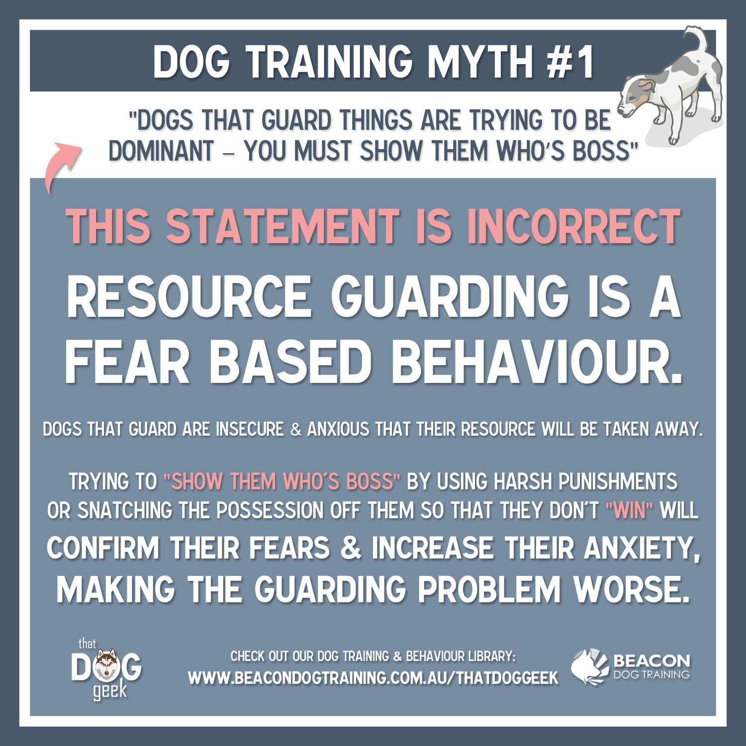 Why Dogs Resource Guard beacondogtraining Blog