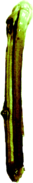 Igreen