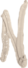 nwit