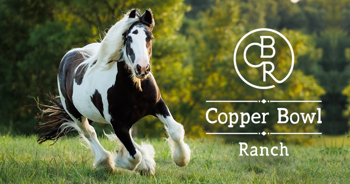 Weddings | Copper Bowl Ranch