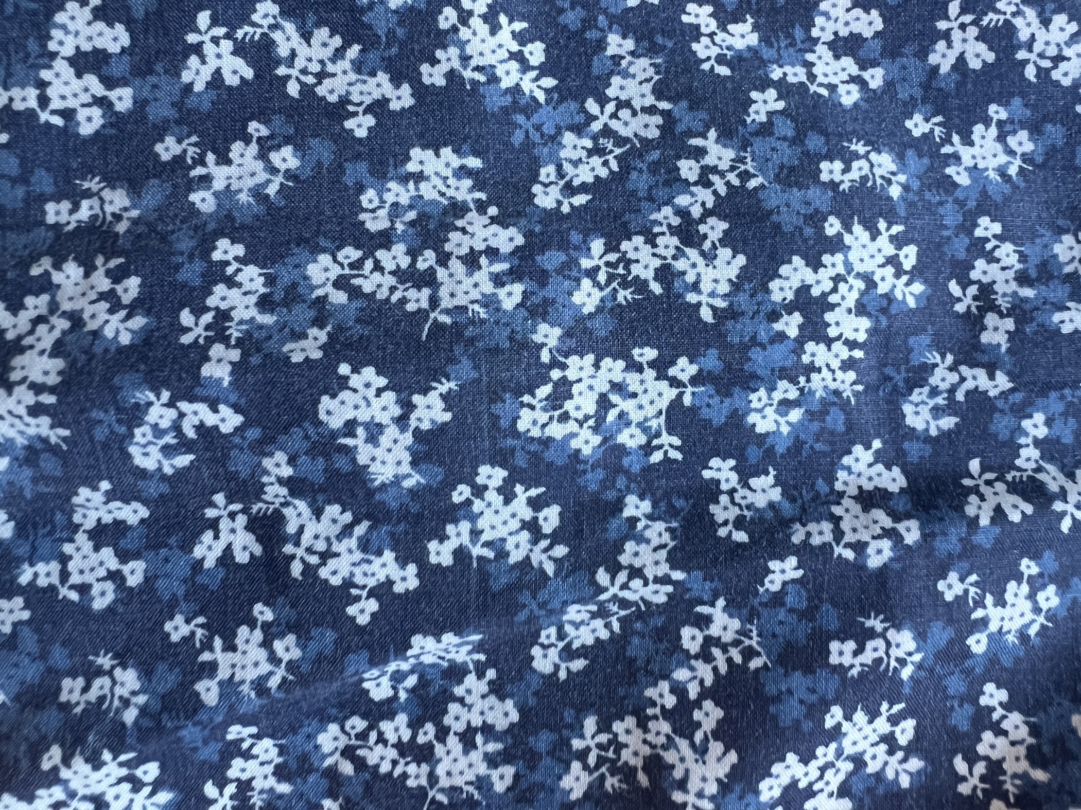 image ID dd12aee6 2a21 43ea e965 eb787e72f59f