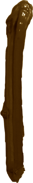 Idark sepia