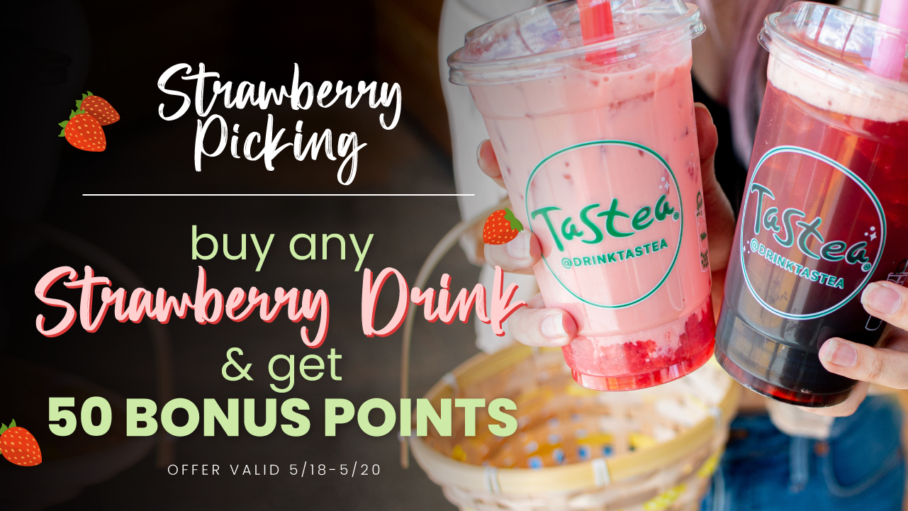 Week 3 of Strawberry Picking at Tastea!🧺🍓 Tastea Blog