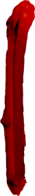 Icurtain