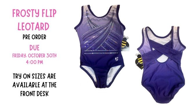 Saturday open gym flyer at Georgia Elite Gymnastics
