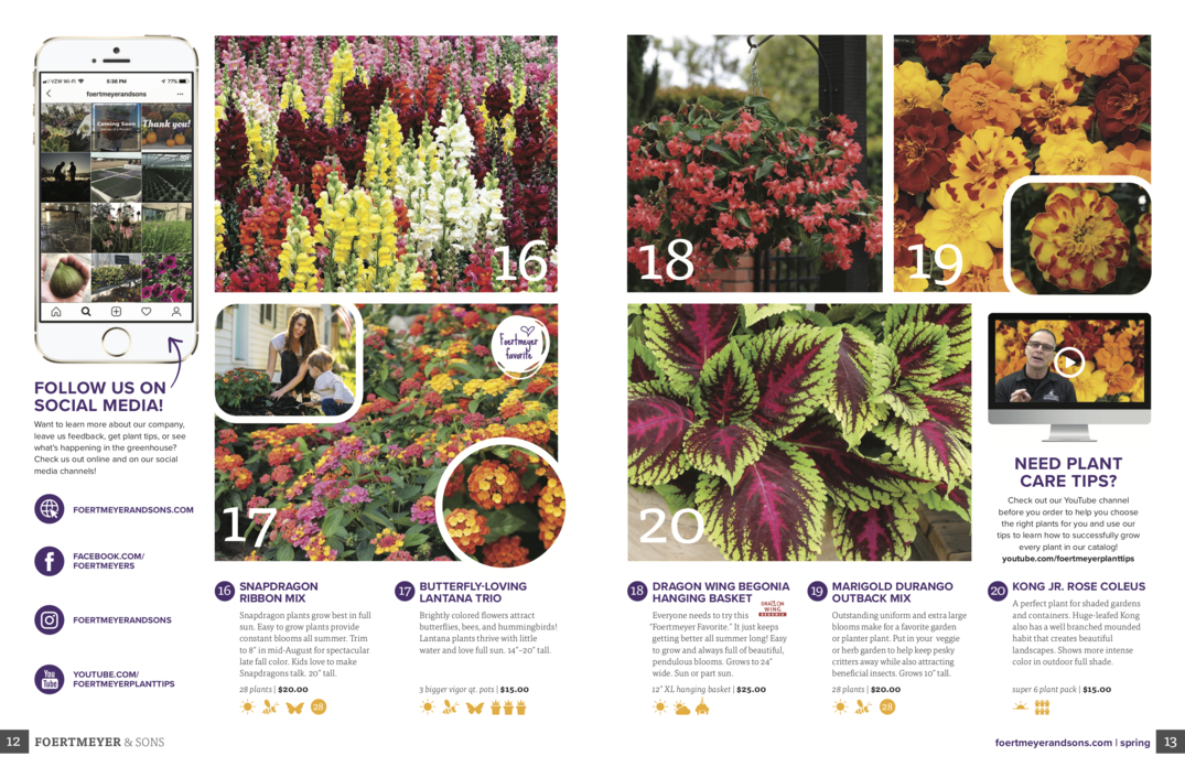 Spring Flowers Catalog