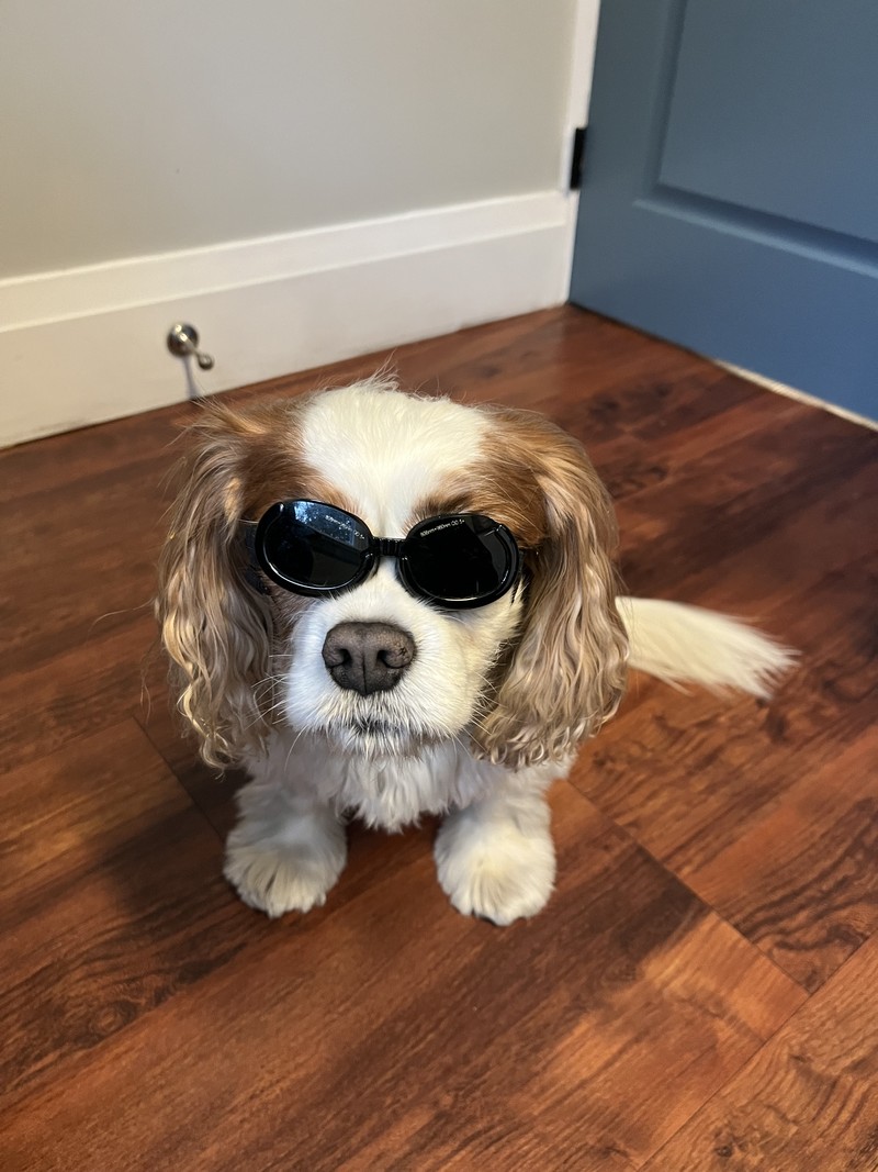 Sunshine (Thornhill) - Neck Injury- Laser Therapy, Therapeutic Exercises