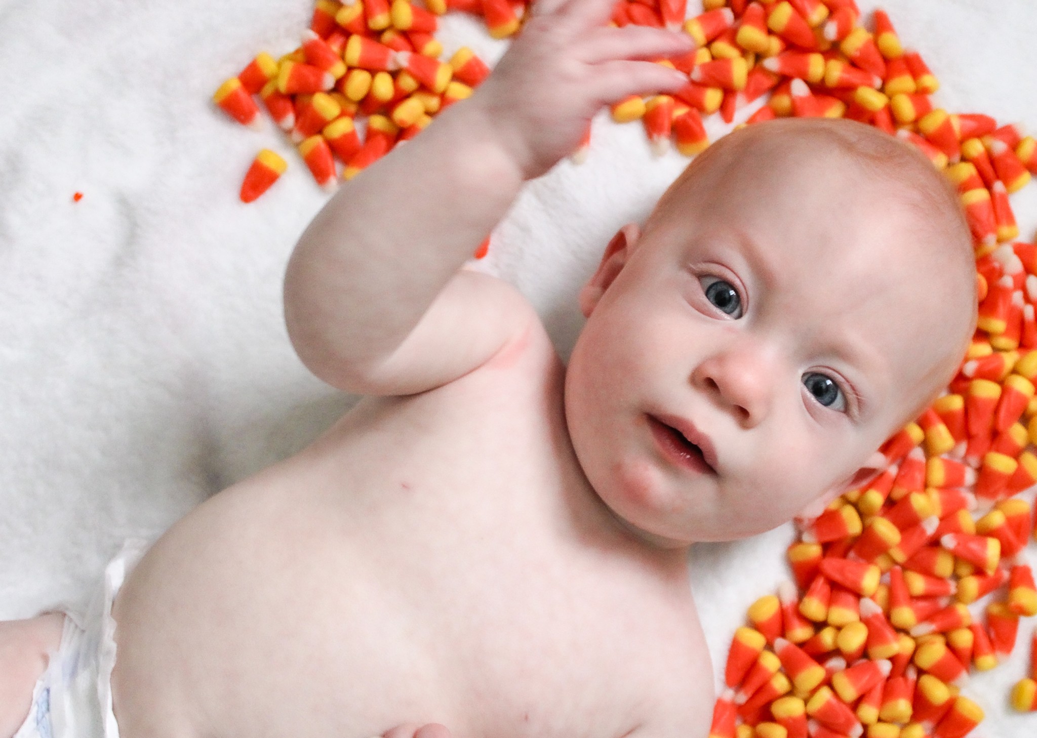 image ID dd12aee6 2a21 43ea e965 eb787e72f59f