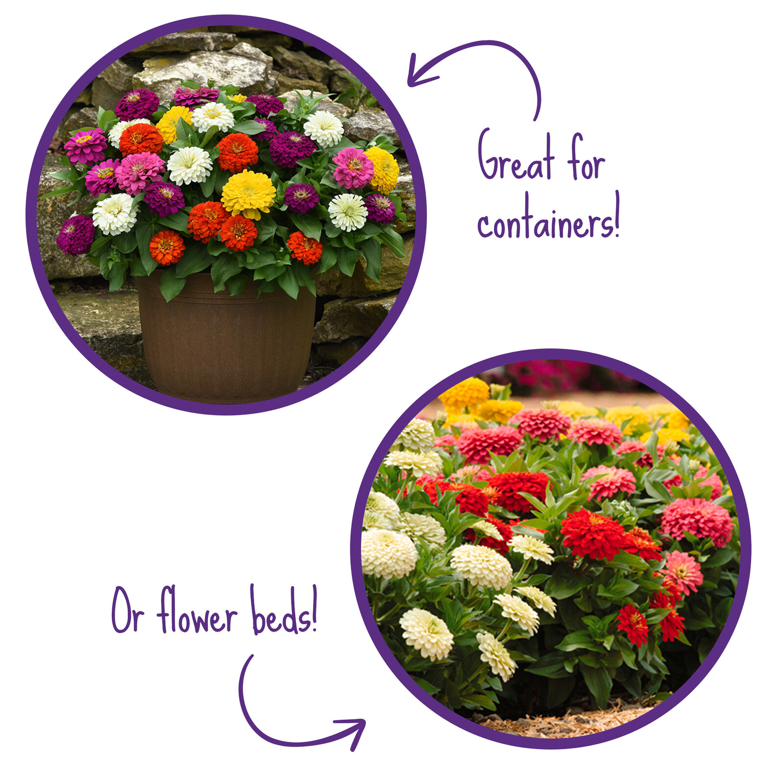 Foertmeyer & Sons Greenhouse