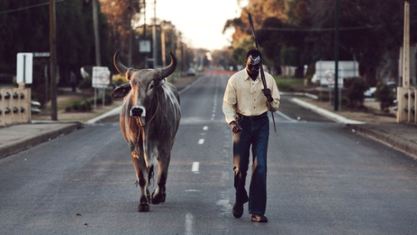 Screen Shot 2020 05 06 at 2.13.36 pm