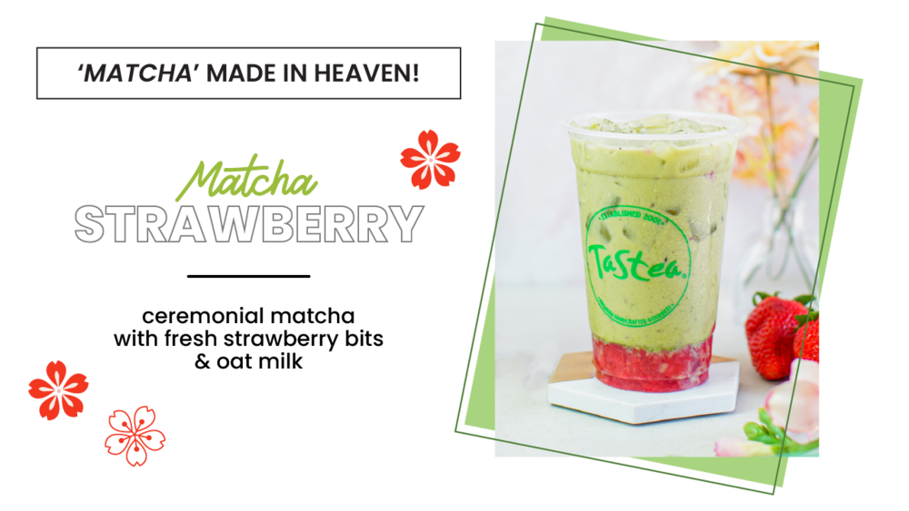 tastea-new-oat-drink-tastea-blog