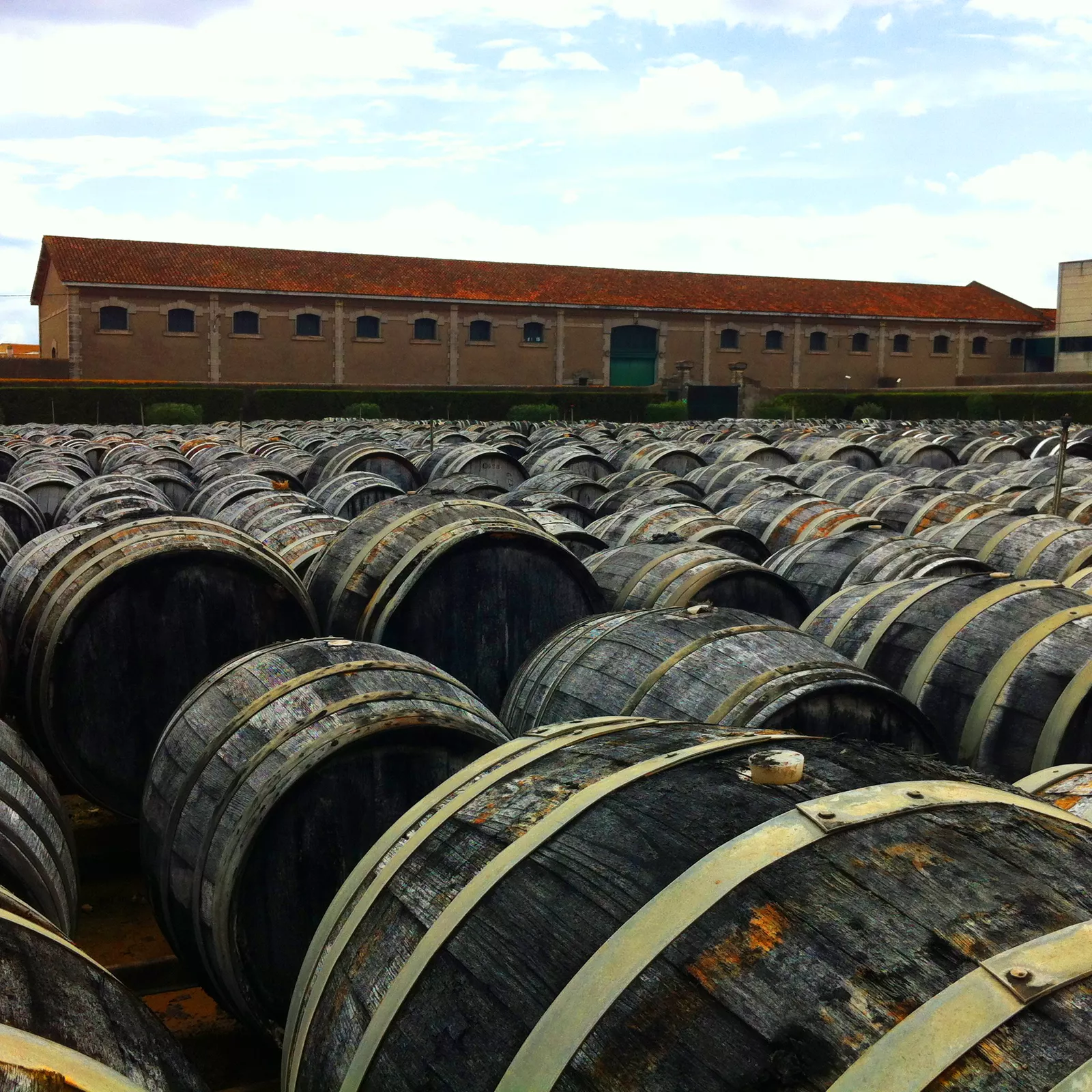 Exclusive Used Barrels at