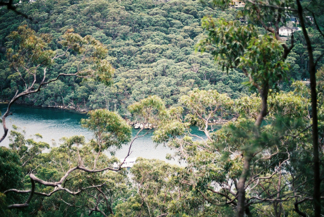 toa heftiba ZxD6fLc91LE unsplash