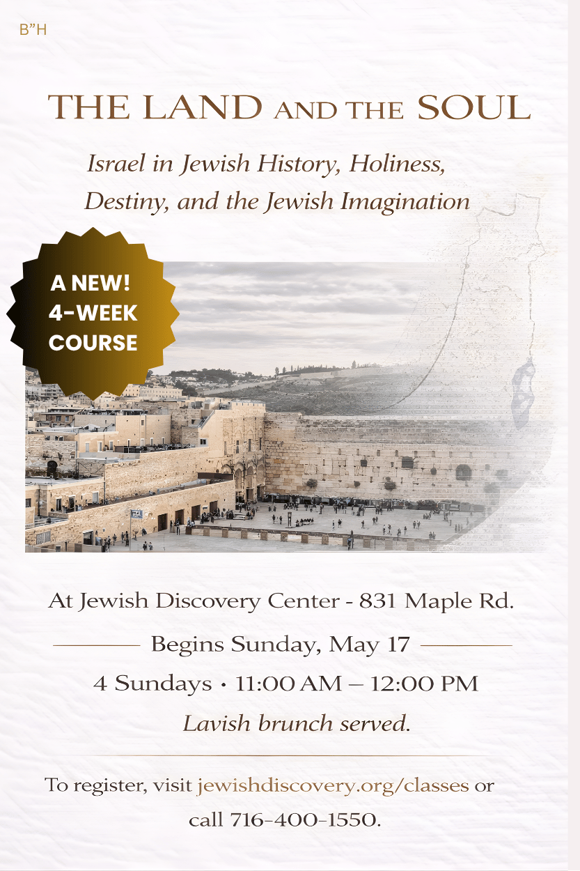 image ID dd12aee6 2a21 43ea e965 eb787e72f59f