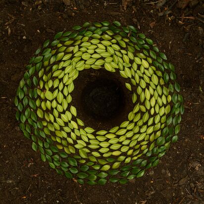Men's Group in Brisbane.