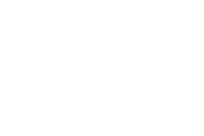 White Spirit Team Pt1 Logo