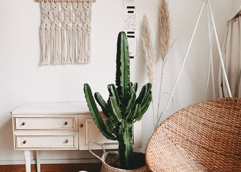 alyssa strohmann 2r2RUsEU1Aw unsplash