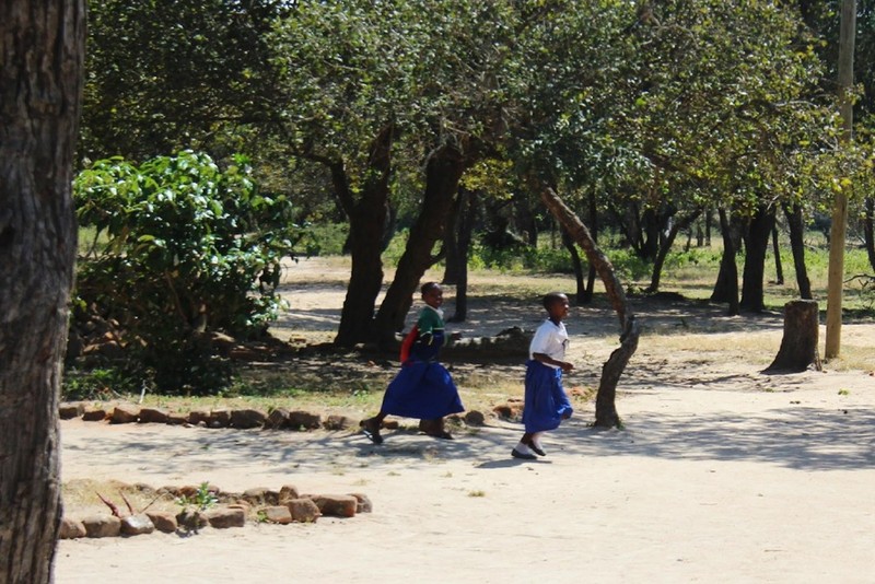 Tansania – Association Elewa-Africa - Kinder unterwegs zur Schule