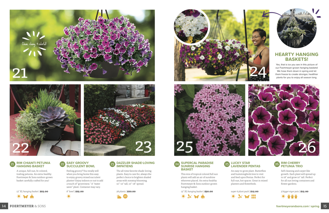 Spring Flowers Catalog