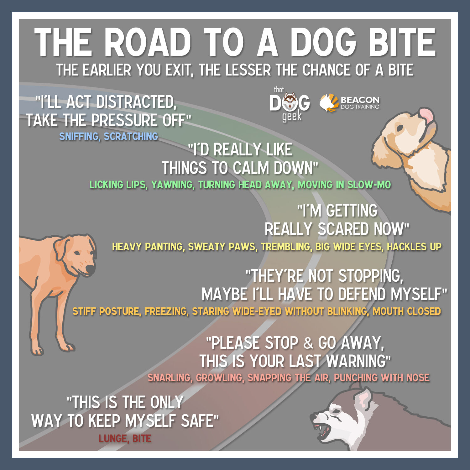 How Dogs Act Before They Bite beacondogtraining Blog