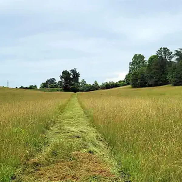 Beautiful open fields with natural walking paths, perfect for outdoor activities, prayer walks, and family gatherings