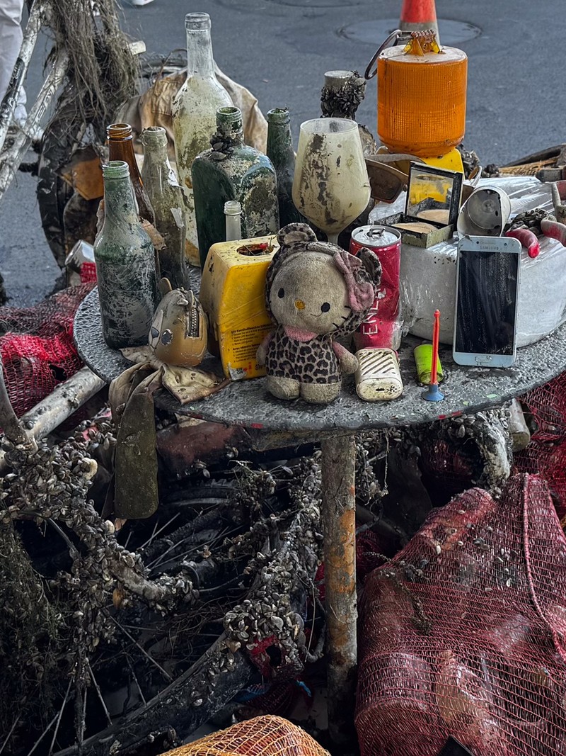 Abfalltaucher Schweiz - social waste