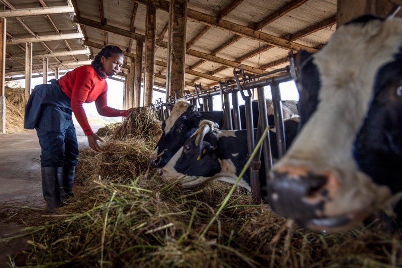 Madagaskar – Verein Kafeala - eigener Bauernhof