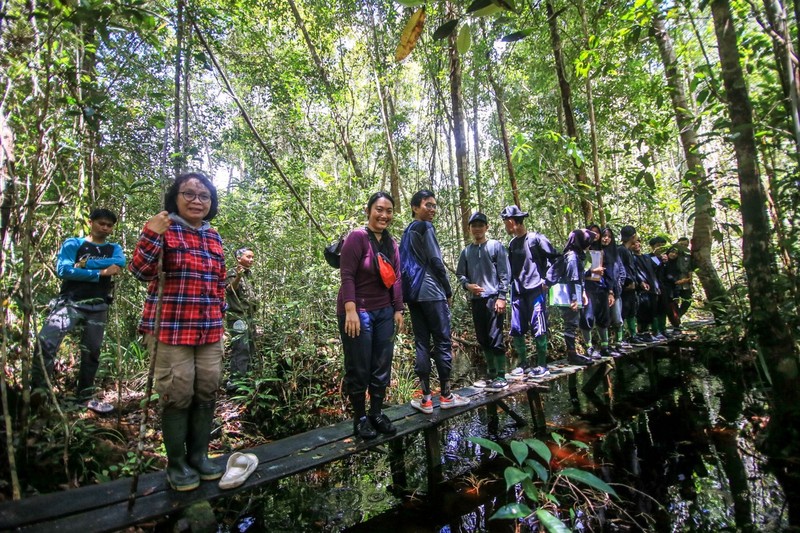 Green Boots Borneo - Schulung der Einheimischen im Wald