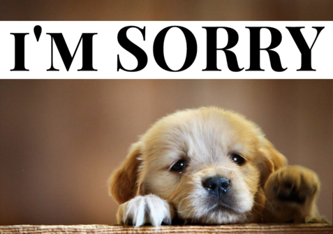 Sorry