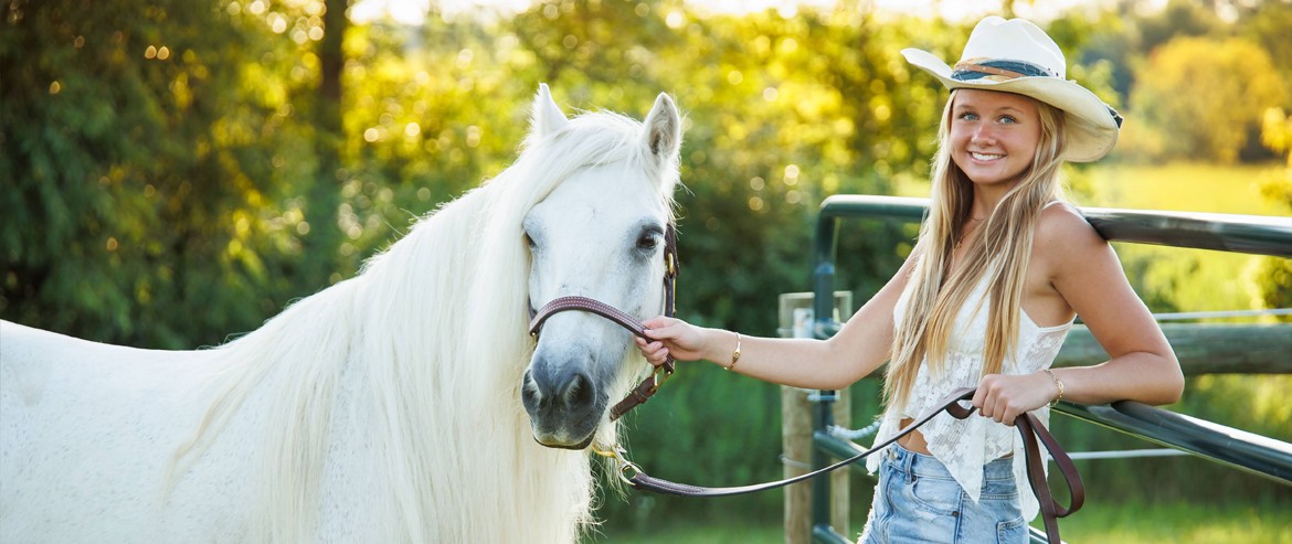 Co-op barns offer various ways to care for the horses.