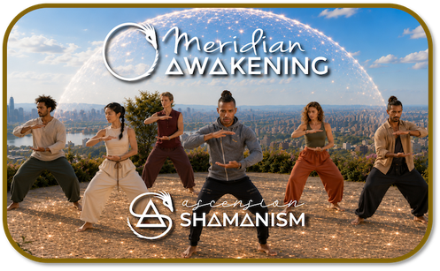 Meridian Awakening Purchase Badge
