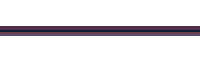 Timeline Middle