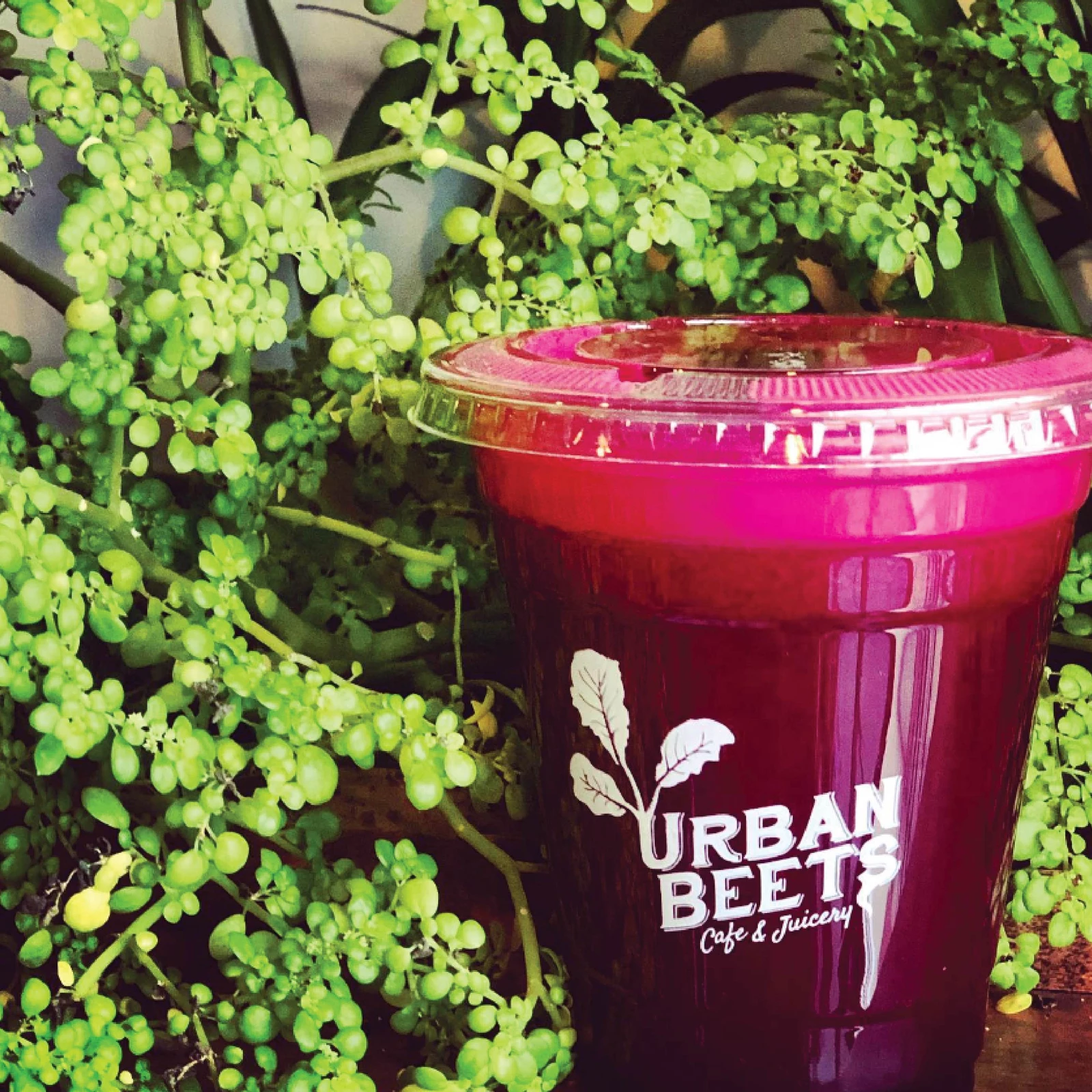 Urban Beets Cafe & Juicery