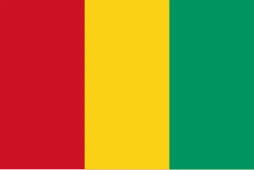 Flag Guinea