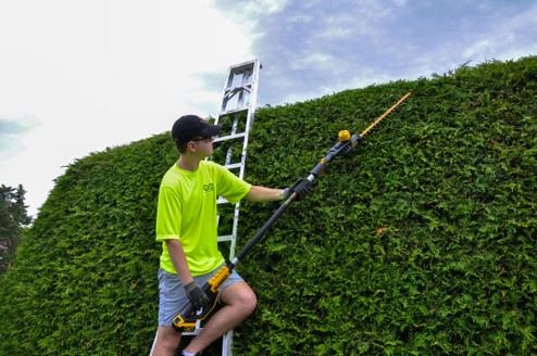 Meeting of two colleagues