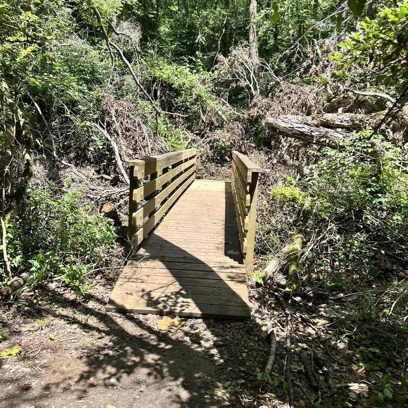 Beautiful wooden footbridge leading to scenic nature trails through the forested areas of the campus, perfect for prayer walks and reflection