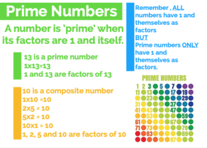 Prime Numbers
